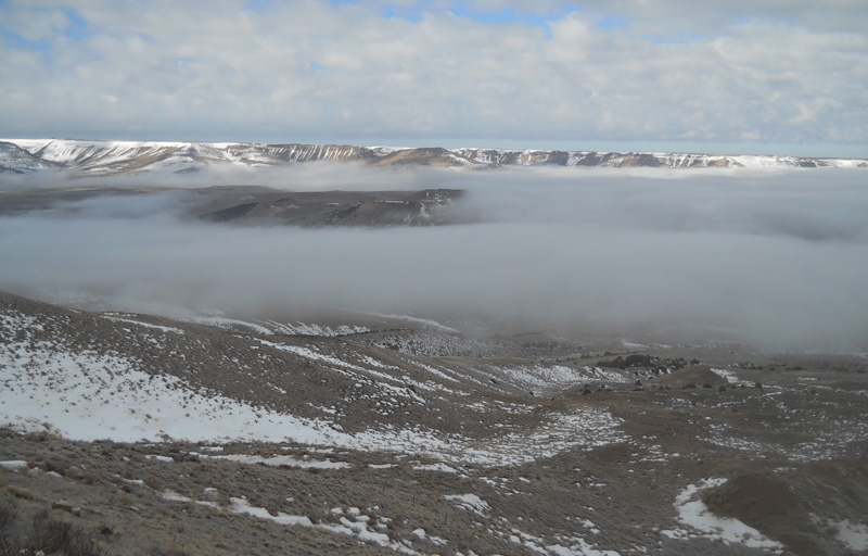 Western Archaeological Services